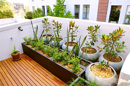 Decked balcony with plants