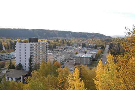Autumn trees around urban buildings
