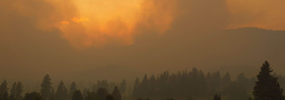 hazy smokey view of fires in the forest