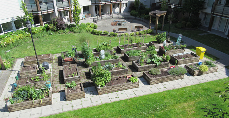 Public garden with many flower beds