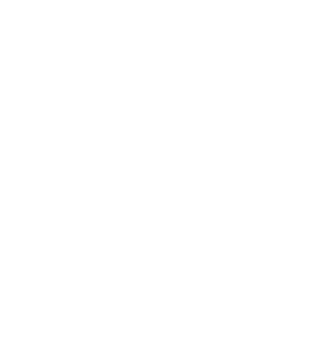 Telescope icon representing our vision