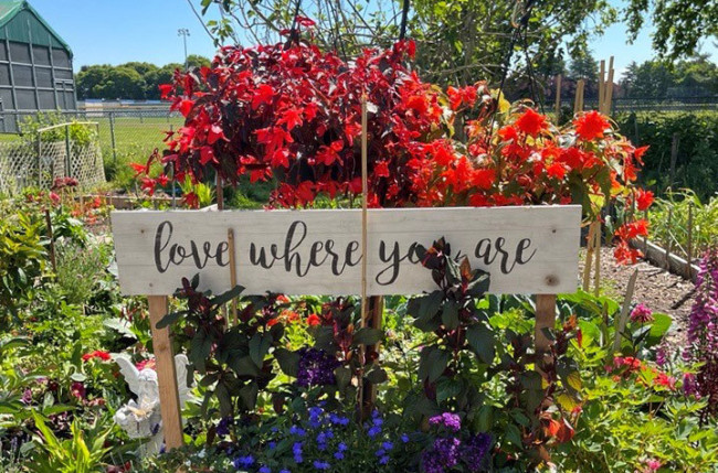 Red, blue and purple flowers in a green garden with a sign saying "love where you are"