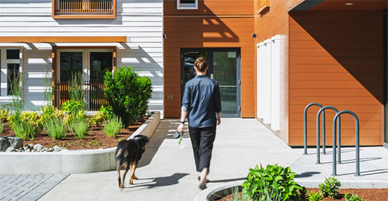 A person walks a dog on a leash along a concrete path leading to a modern building with white siding, wooden accents, large windows, and landscaped greenery.