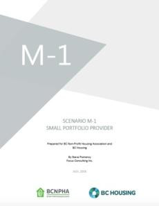 Scenario M-1 Small Portfolio Provider
