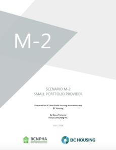 Scenario M-2 Small Portfolio Provider