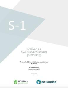 Scenario S-1 Single Project Provider (Category 1)