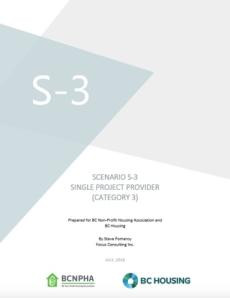 Scenario S-3 Single Project Provider (Category 3)